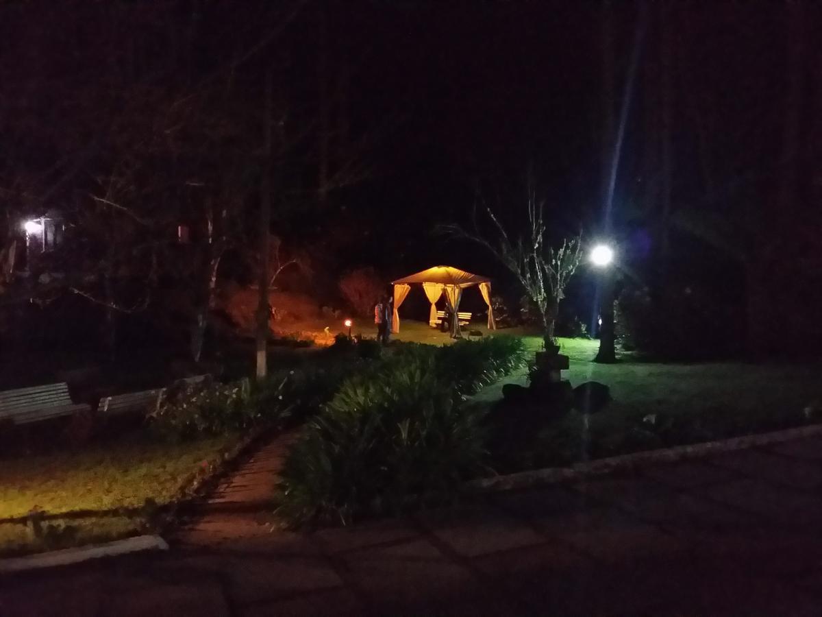 Garden Hotel 3*