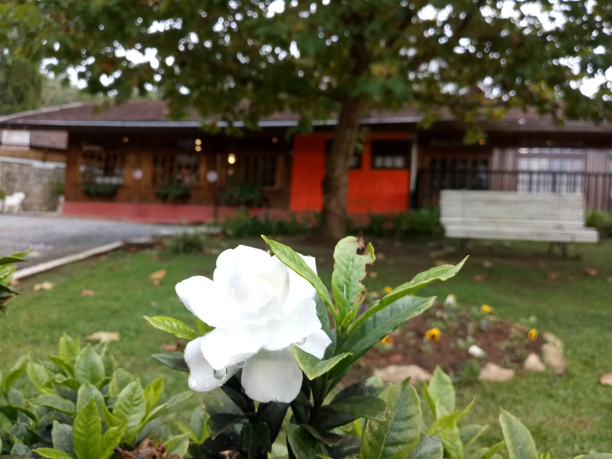 Hotel Garden