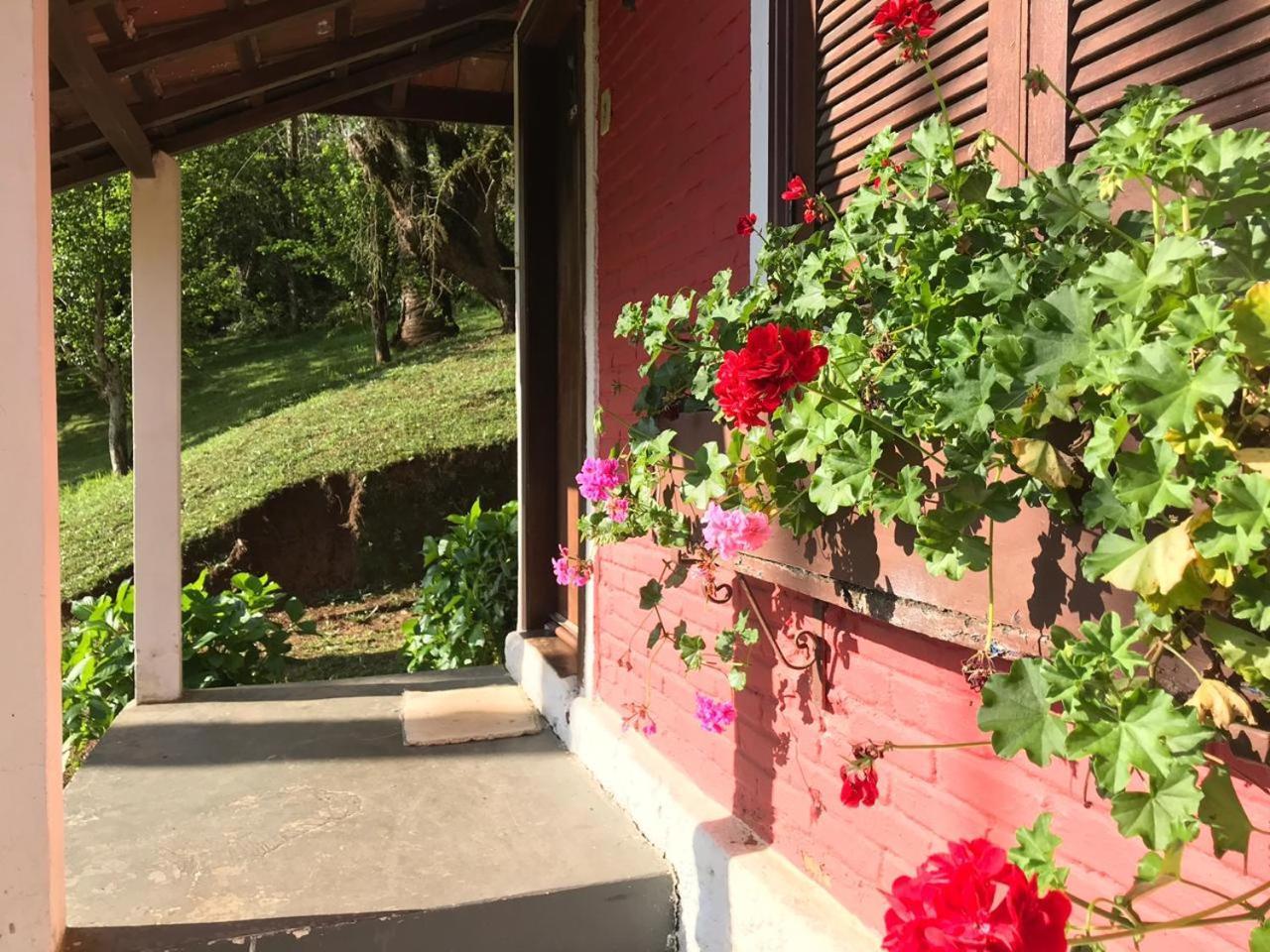 Garden Hotel 3*
